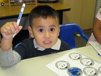 Picture 006